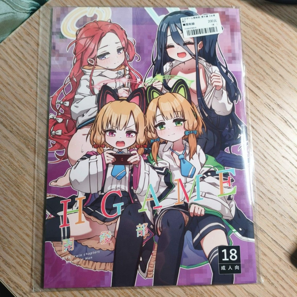 (現貨)(代售)H GAME開發部_雙子篇【繁中無修正】［山含-MountainHan］R18 中文 無修正 同人誌-細節圖2