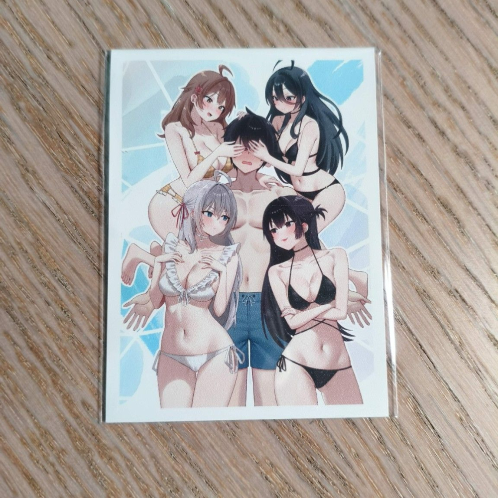 (現貨)不時輕聲地以俄語遮羞的鄰座艾莉同學 同人角色收集卡套 艾莉與學生會們（磨砂）（單售）-細節圖2
