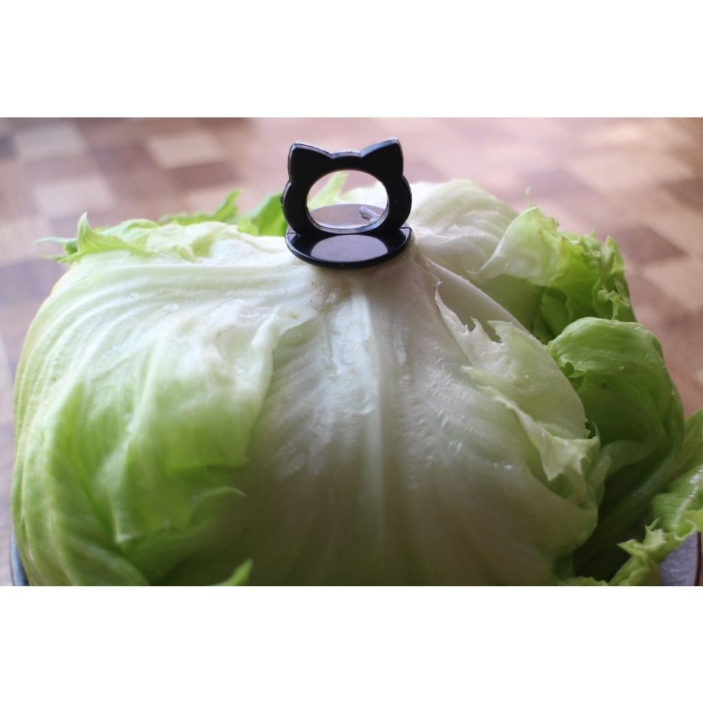 ★姐就是愛shopping★現貨+預購 日本 小熊造形 綠葉蔬菜 保鮮叉 延遲腐敗 延長保鮮 蔬菜保鮮用-細節圖5