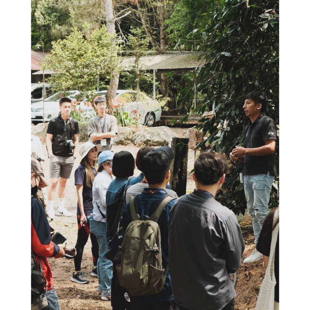 台灣嘉義阿里山 鄒築園鐵比卡半磅（熟豆）-細節圖3