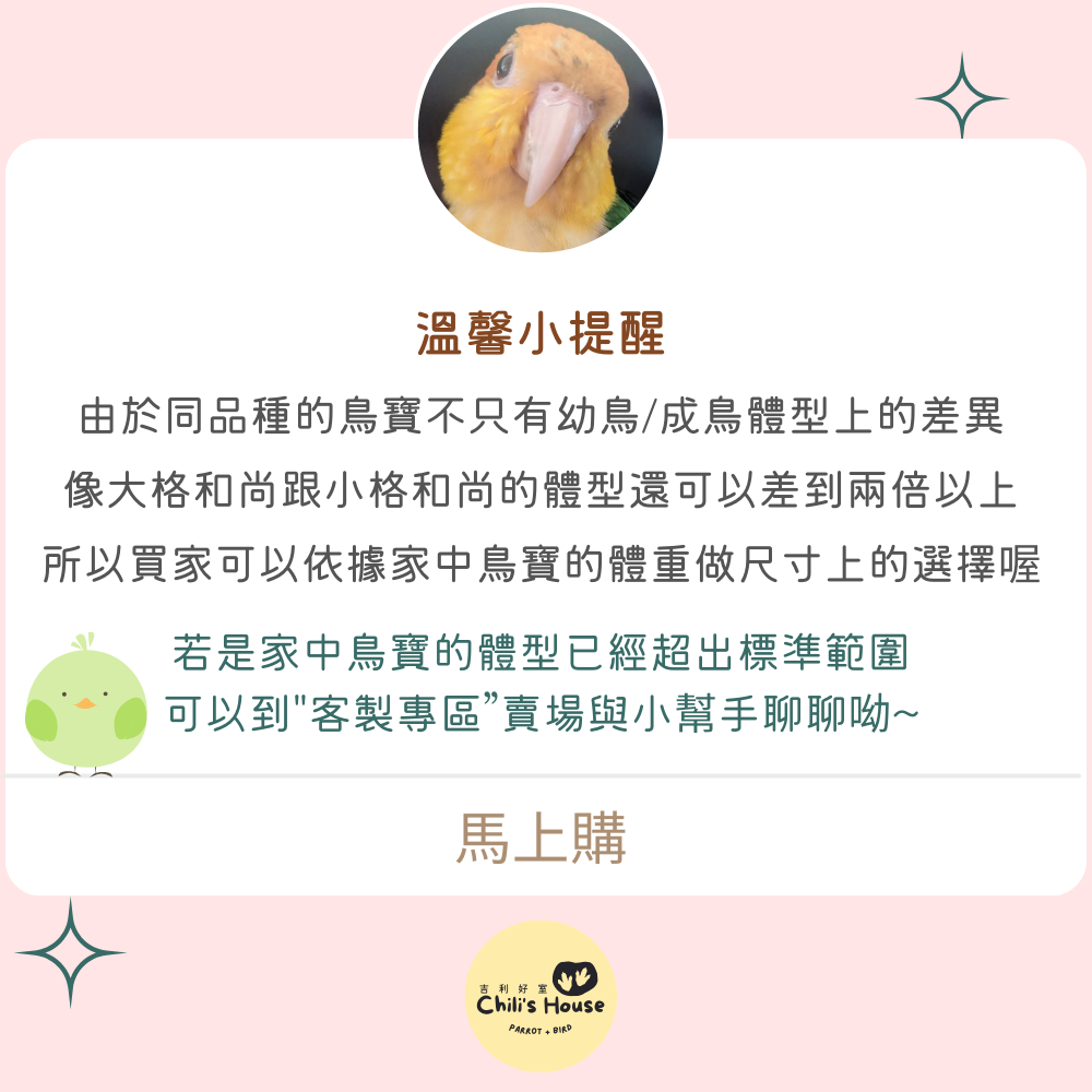 吉利好室 //全新升級//小型鳥專區 純棉鸚鵡尿布 手工製作 鳥衣服 聖誕款小鸚/虎皮/太平洋/橫斑-細節圖8