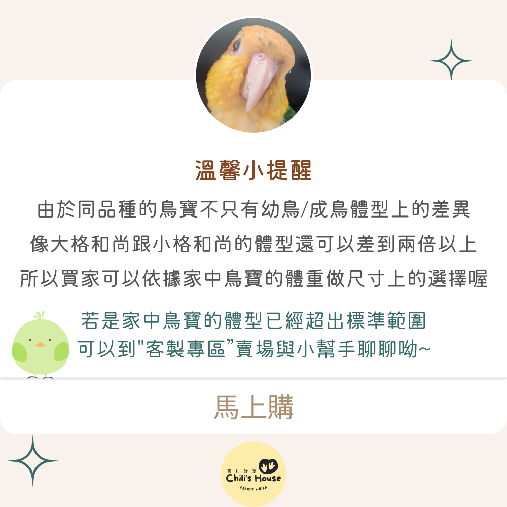 吉利好室 //全新升級//中大型鳥專區 純棉鸚鵡尿布 動物系列 手工製作 鳥衣服-細節圖8
