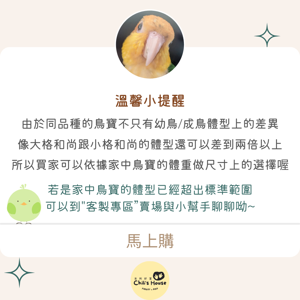 吉利好室 //全新升級//小型鳥專區 純棉鸚鵡尿布 動物系列 手工製作 鳥衣服-細節圖8