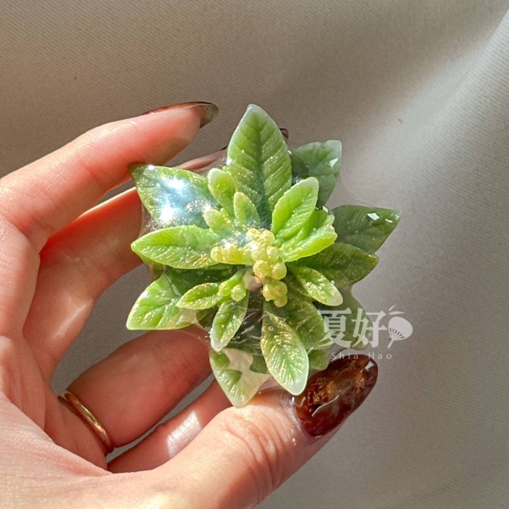 【𝑺𝒉𝒊𝒂 𝑯𝒂𝒐 夏好】聖誕紅造型手工皂 聖誕節 交換禮物 耶誕樹 耶誕節 禮品贈品抽獎聖誕樹聖誕交換-規格圖11
