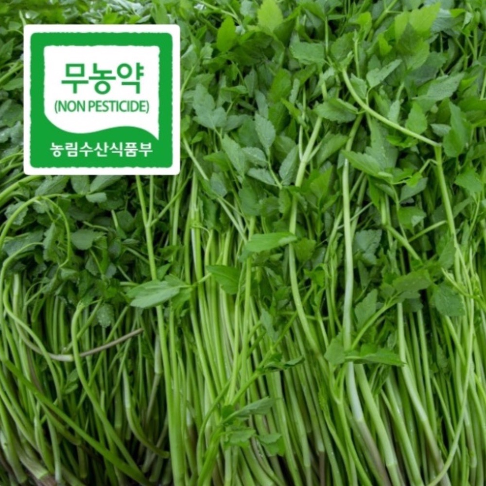 🍀MCC SHOP🍀 rataplan 水歐芹舒緩精華50ml-細節圖4