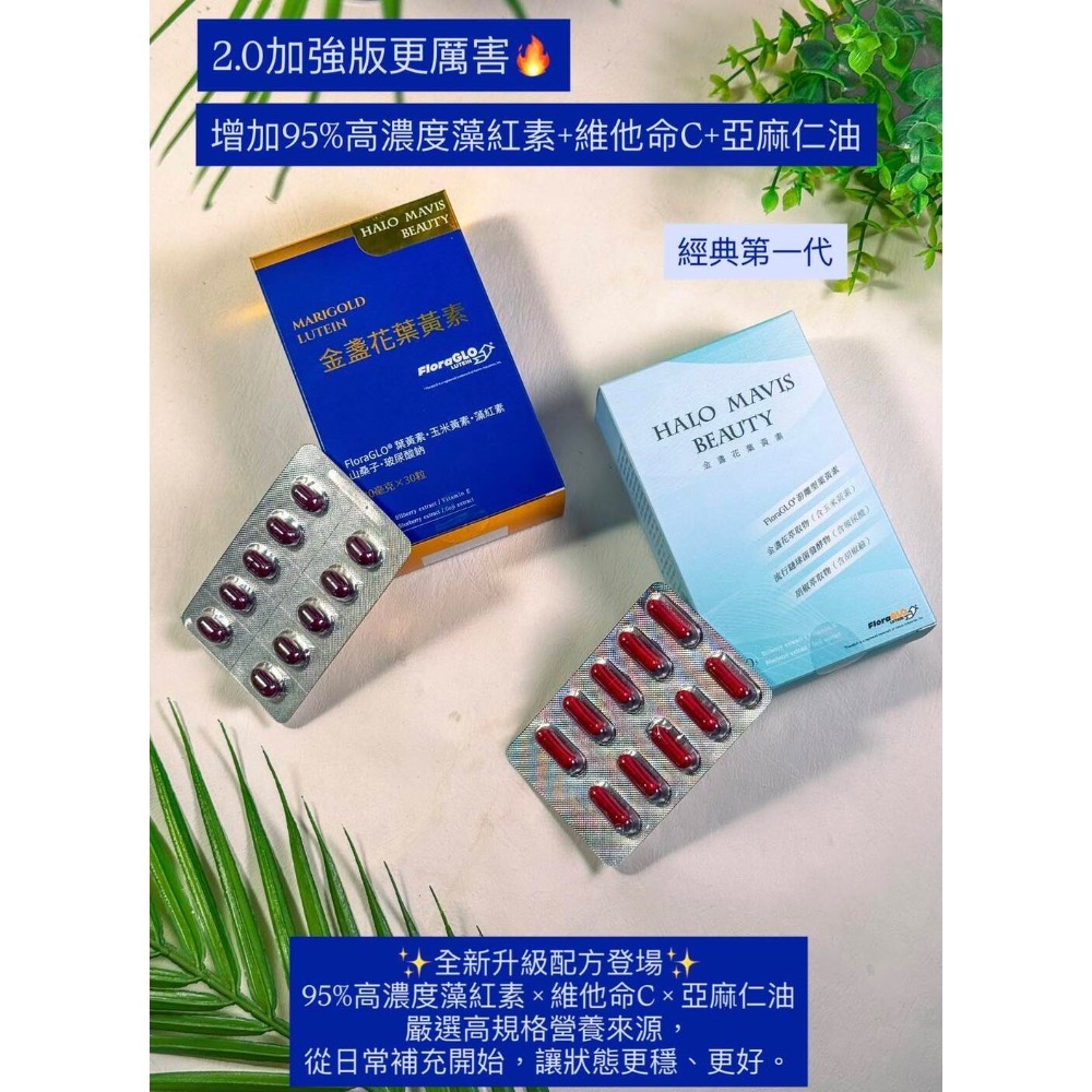 🍀MCC SHOP🍀Halo Mavis Beauty金盞花葉黃素2.0升級版-細節圖2