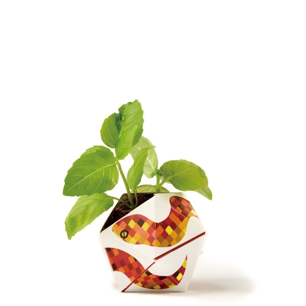OriBon摺紙盆栽組合：金剛鸚鵡／紅眼樹蛙／樹蝰-細節圖6