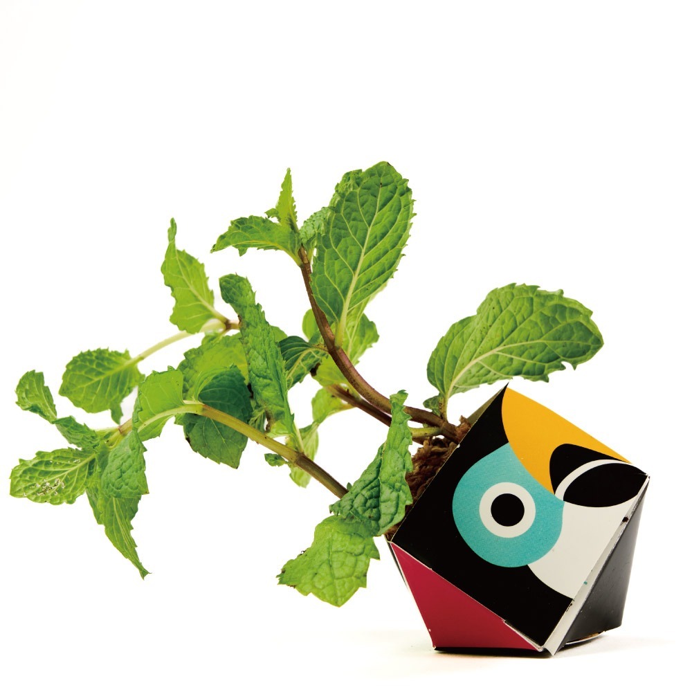 OriBon摺紙盆栽組合：大嘴鳥／大貓熊／大猩猩-細節圖4