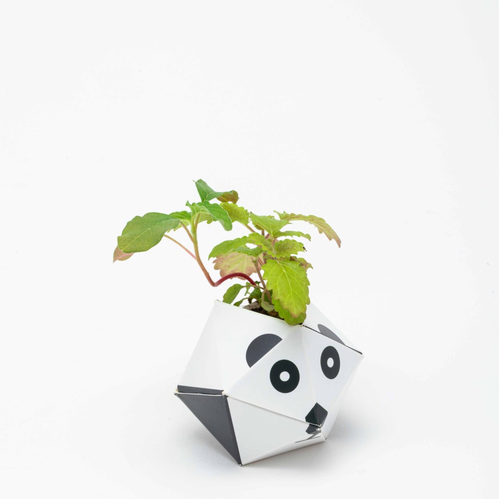 OriBon摺紙盆栽組合：大嘴鳥／大貓熊／大猩猩-細節圖5