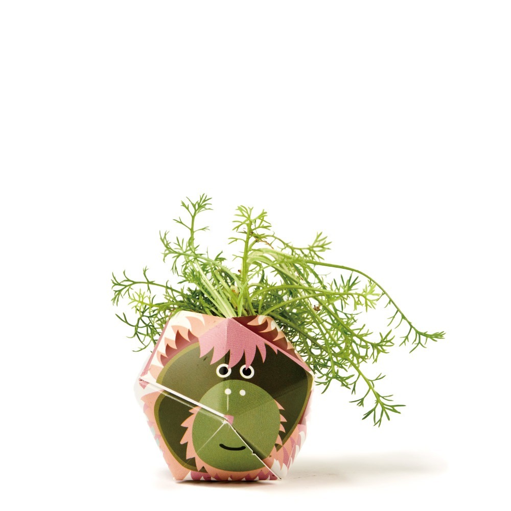 OriBon摺紙盆栽組合：大嘴鳥／大貓熊／大猩猩-細節圖6