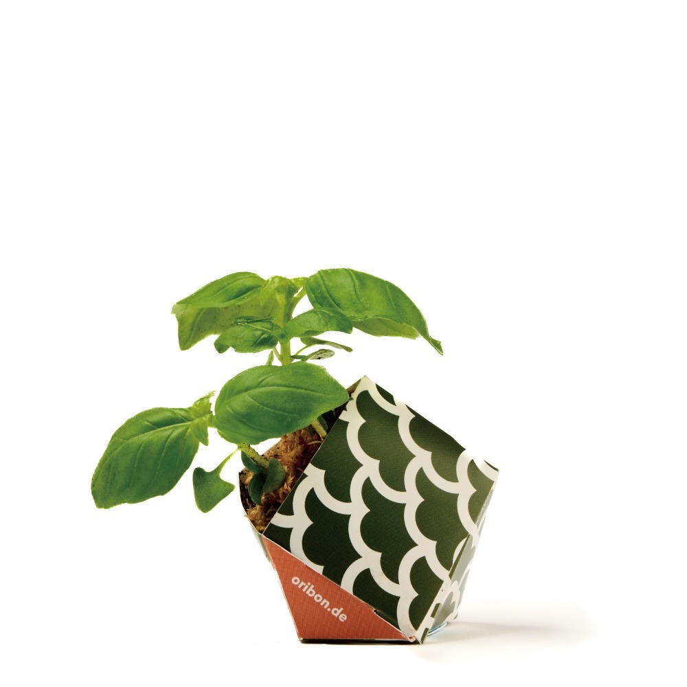 OriBon摺紙盆栽組合：淡雅和風三色-細節圖4