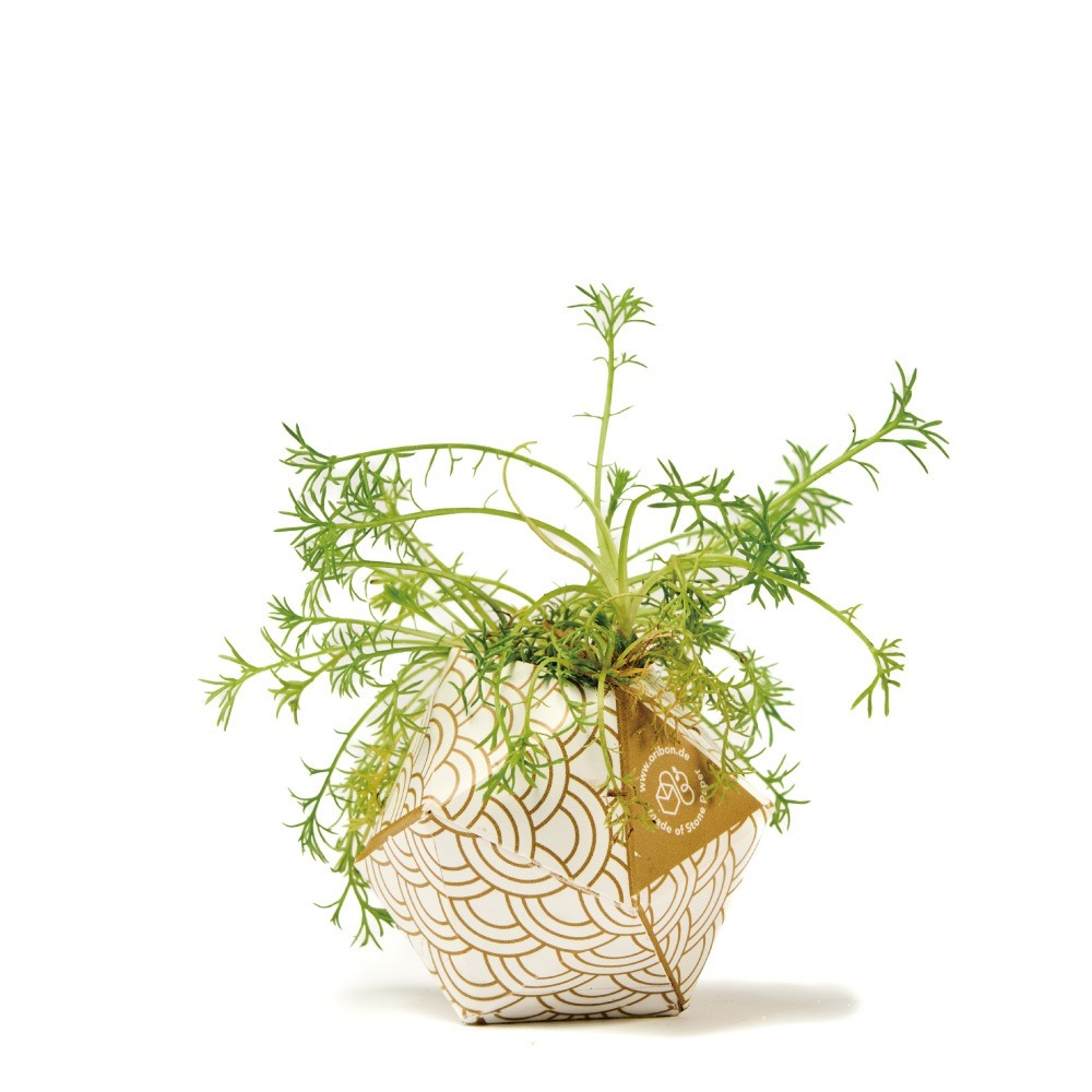 OriBon摺紙盆栽組合：淡雅和風三色-細節圖6