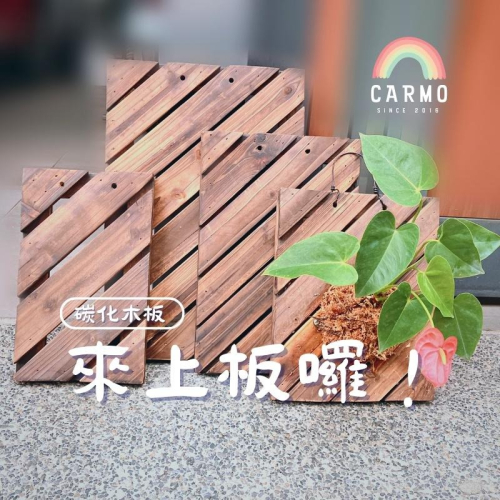 CARMO鹿角蕨上板 斜紋碳化板 碳化木板 鹿角蕨木板 碳化板