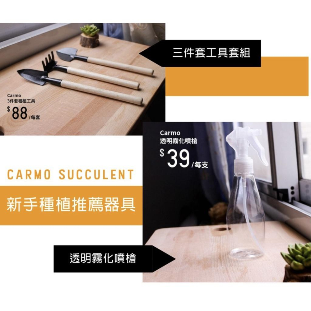 CARMO貓草種子套組(土+盆+種子) 快速上手-細節圖3
