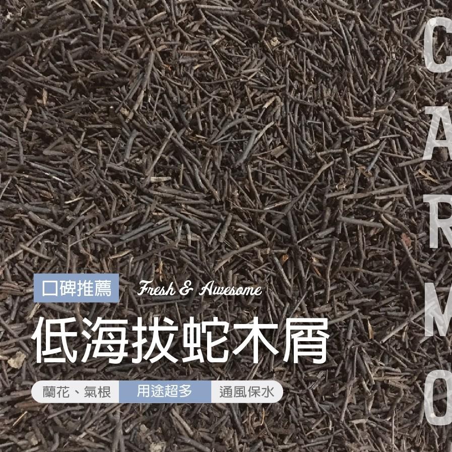 CARMO低海拔蛇木屑(170g) 超值包｜天然介質｜透氣輸水適合氣根植物｜蘭花多肉育苗-細節圖2