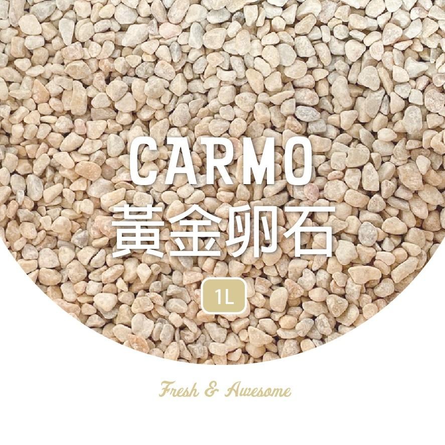 CARMO黃金卵石鵝卵石介質(1L) 鋪面裝飾｜鋪面｜多肉超適合｜裝飾石-細節圖4