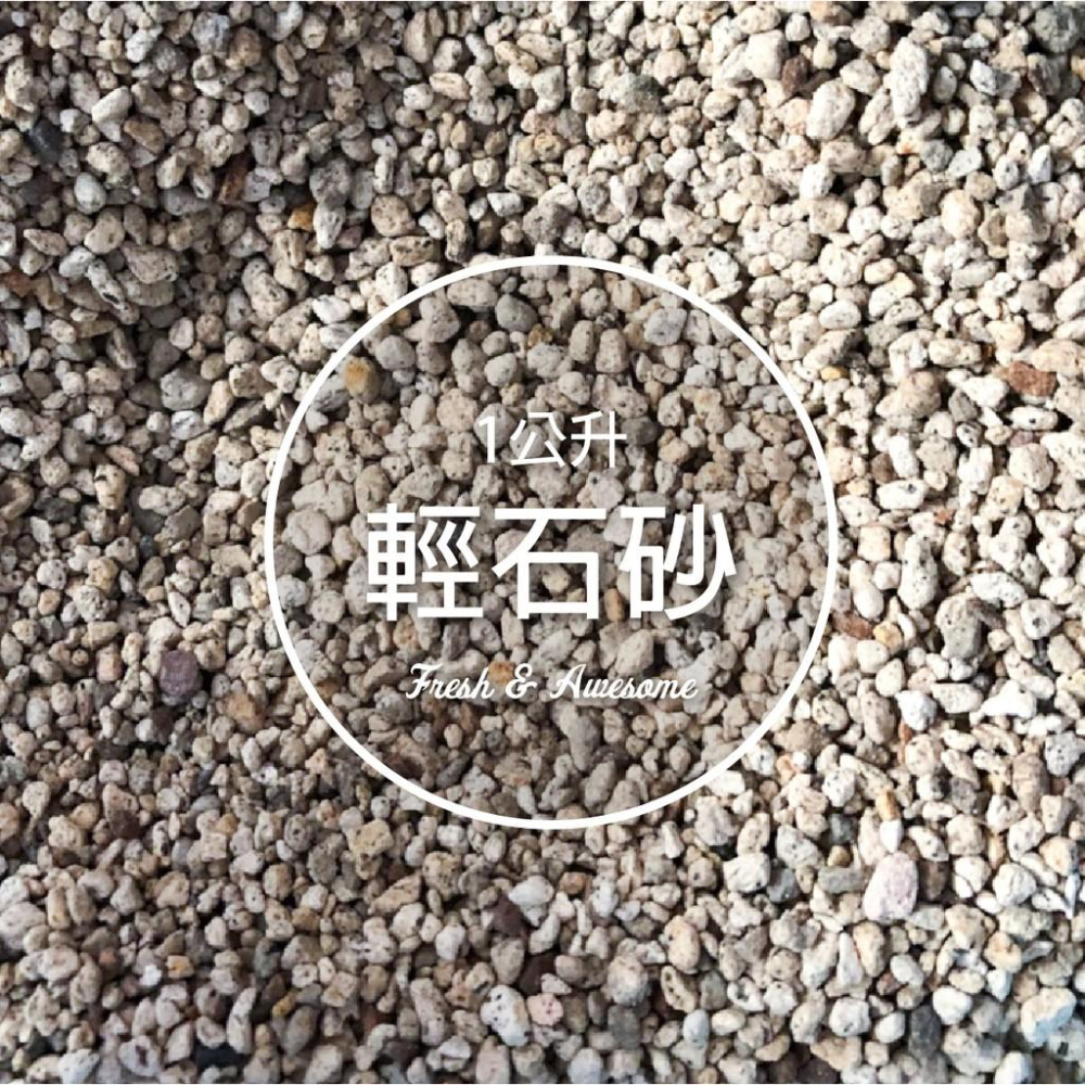 CARMO日本進口輕石砂(1L) 園藝介質 鋪面【C002009】-細節圖2