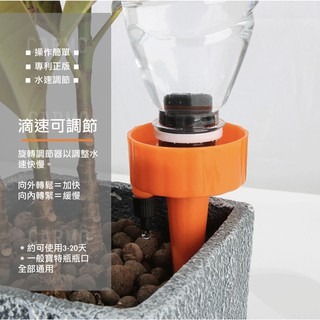 CARMO懶人自動澆水器(單入) 澆花器｜園藝自動澆水｜澆水器-細節圖2