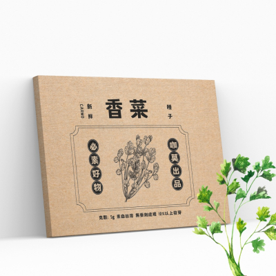 CARMO香菜種子(5g) 園藝種子 台灣自產 有機自種無毒 DIY種植套組