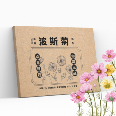 CARMO波斯菊種子(1.5g) 園藝種子 台灣自產 有機自種無毒 DIY種植套組