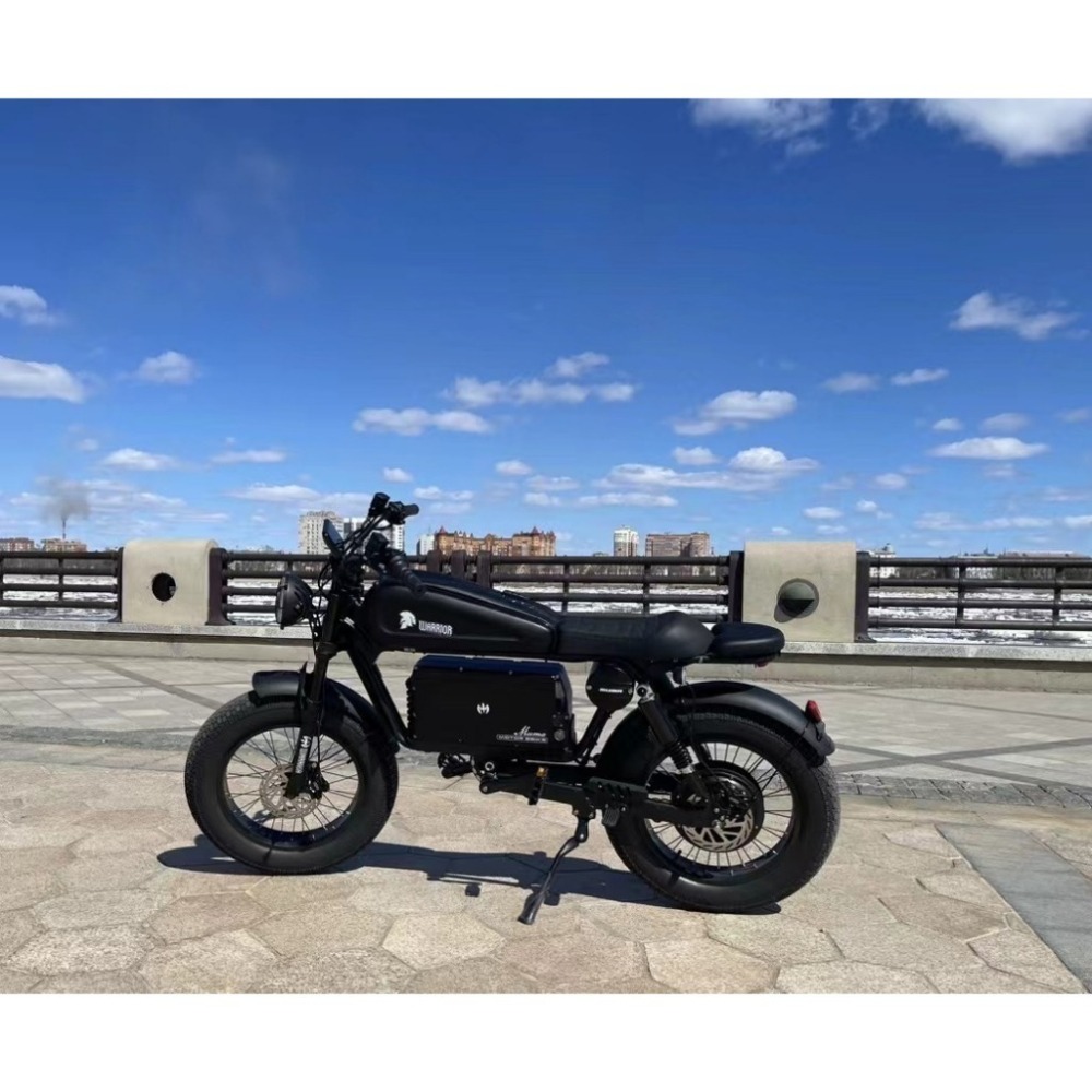 ｛現車試乘｝黑武士電動腳踏車 美式電動腳踏  電輔車 電動自行車 腳踏車 代步車 電動輔助腳踏車 代駕電動自行車 三段-細節圖6