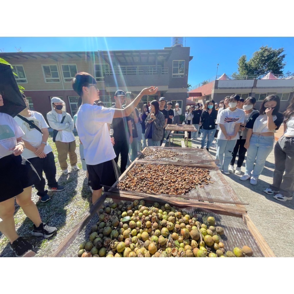 「預購」12月出貨❤️囉！好樂農莊鮮榨苦茶油小果生飲-細節圖5
