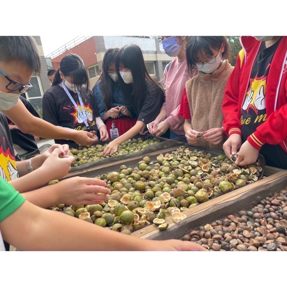 鮮榨苦茶油11月見囉！好樂農莊鮮榨苦茶油小果生飲-細節圖3