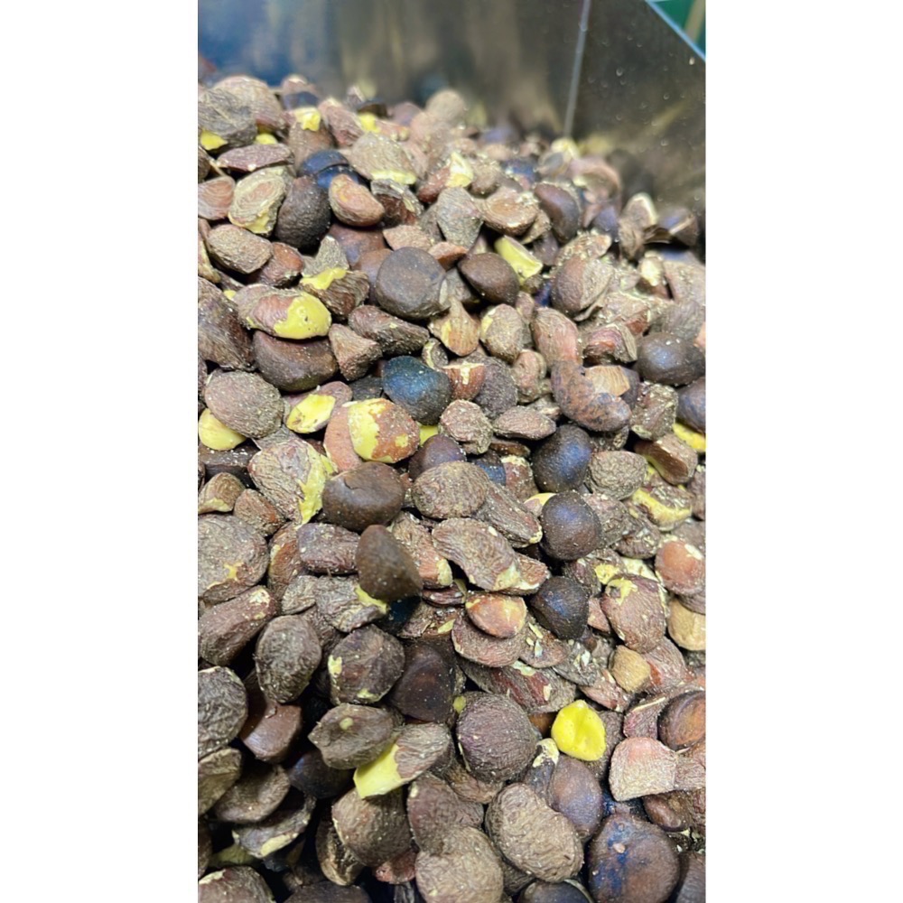 鮮榨苦茶油11月見囉！好樂農莊鮮榨苦茶油小果生飲-細節圖4