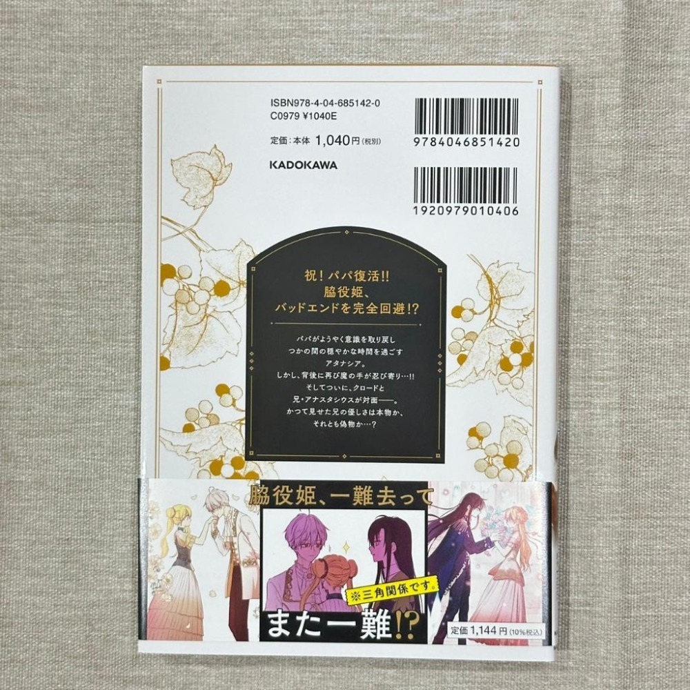 ［全新］日文 少女漫畫 全彩 韓漫 ある日、お姫様になってしまった件について 某天成為公主 第13集 Spoon-細節圖2