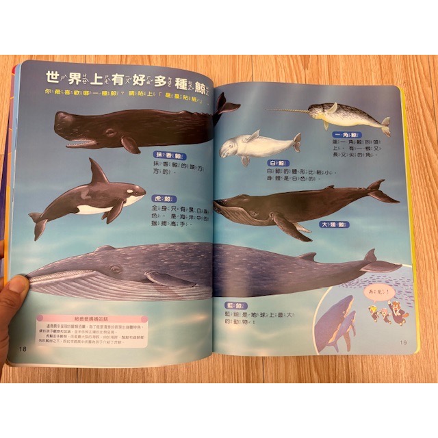 （客訂） 二手 巧連智 成長版 中班生適用 巧虎 不可思議的大發現雜誌書籍 3本 認知書-細節圖7