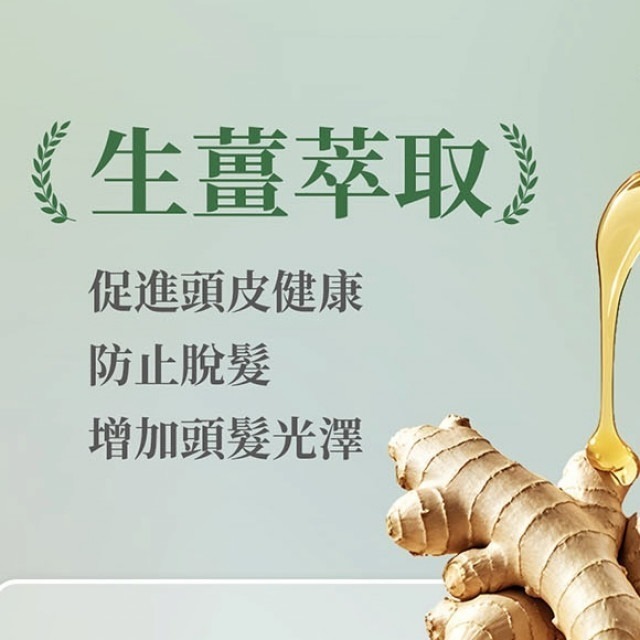 【iShine愛閃耀】豐盈蓬鬆洗髮精 350ml｜楊謹華代言推薦｜現貨-細節圖3