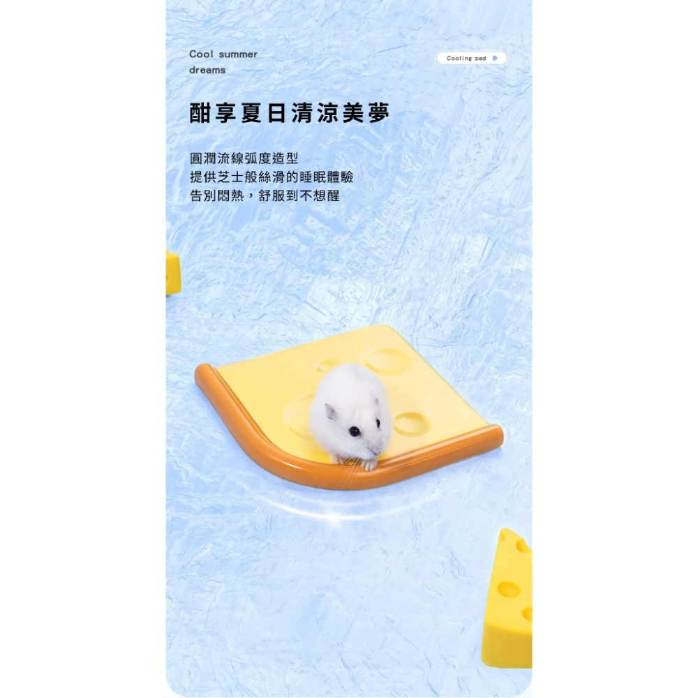 【預購】CARNO卡諾 芝吱降溫冰墊 起司黃 小寵涼窩 倉鼠 睡窩 造景 小屋-細節圖3