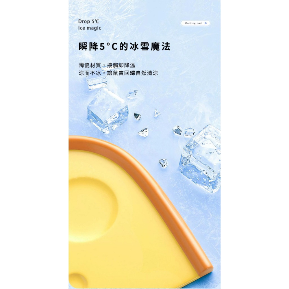 【預購】CARNO卡諾 芝吱降溫冰墊 起司黃 小寵涼窩 倉鼠 睡窩 造景 小屋-細節圖4