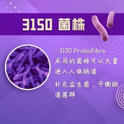 德國技術 馬來西亞 3150 藍莓 益生菌 便秘 排便 順暢-細節圖5
