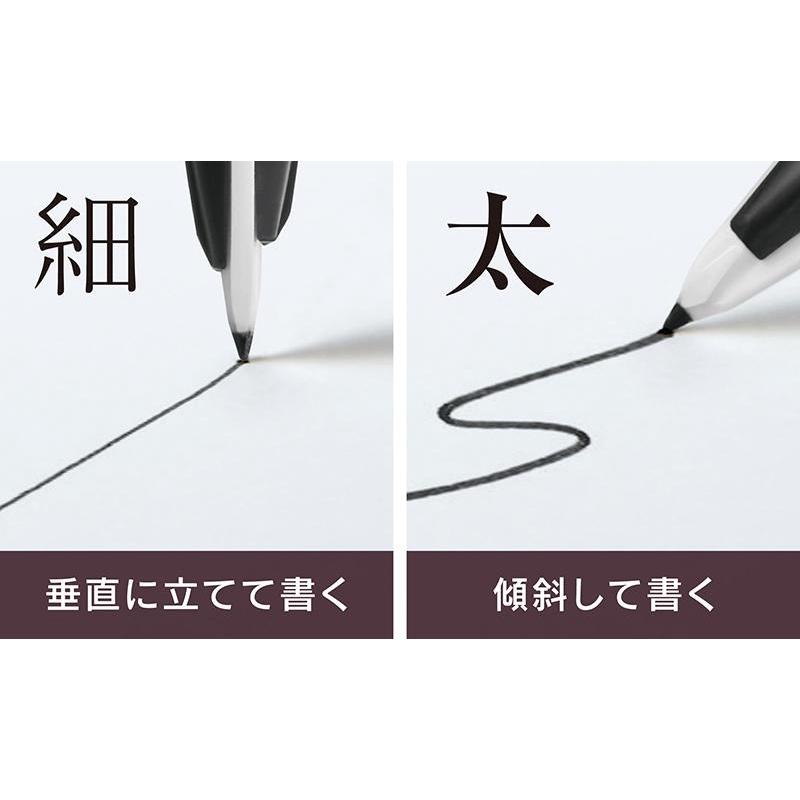[MBB🇯🇵現貨附發票]日本Pentel飛龍牌PulaMan塑膠鋼筆 40週年新色 手帳 寫字 習字 水性 原子筆-細節圖3
