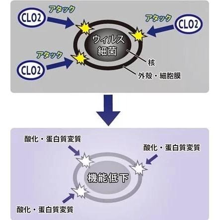 [MBB🇯🇵現貨附發票]日本E.A Mask 健康勳章除菌夾 消除細菌 除臭 減菌 隱形防護盾-細節圖3