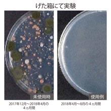 [MBB🇯🇵現貨附發票]日本 COGIT BIO 消臭防霉貼  廚櫃衣櫃除臭防霉盒 除霉浴室天花板貼 冷氣空調防霉清淨貼-細節圖6