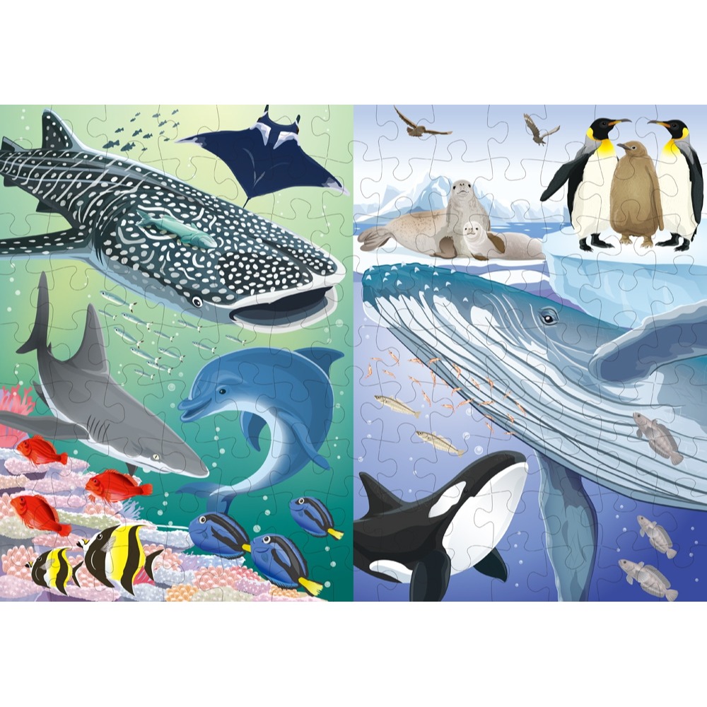 [MBB🇯🇵現貨附發票]日本Kumon益智拼圖STEP5大自然動物 兒童拼圖 幼兒拼圖 54片 70片 88片-細節圖4