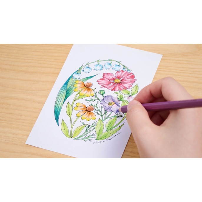 [MBB🇯🇵現貨附發票]日本 TOMBOW蜻蜓牌 木物語 12色色鉛筆 六角色鉛筆 美術 繪圖 CQ-KS12C-細節圖7