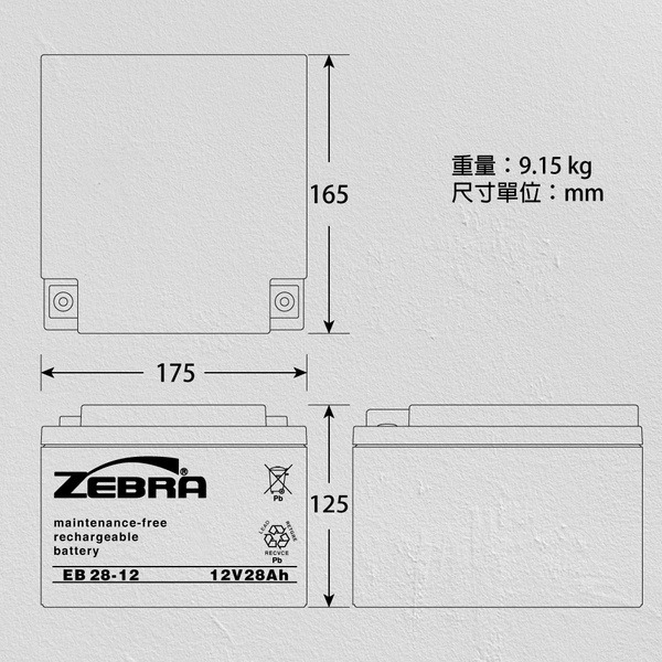 【ZEBRA斑馬】EB28-12銀合金膠體電池12V28Ah 不斷電系統 代步車 電動車 NP26-12 WP26-12-細節圖3