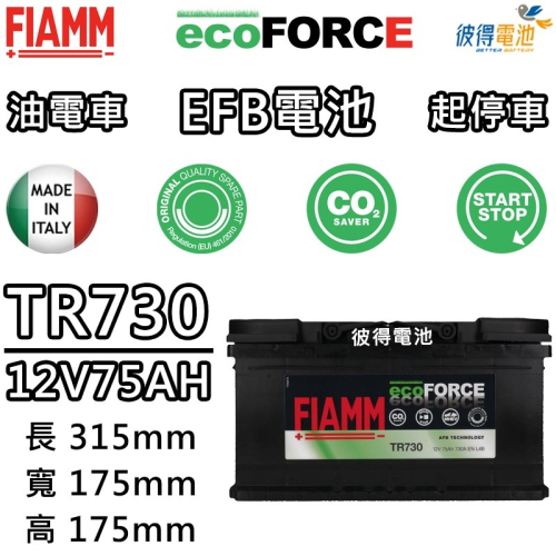 【彼得電池】義大利FIAMM TR730 EFB 75AH 怠速熄火汽車電瓶 FORD Focus Kuga Range