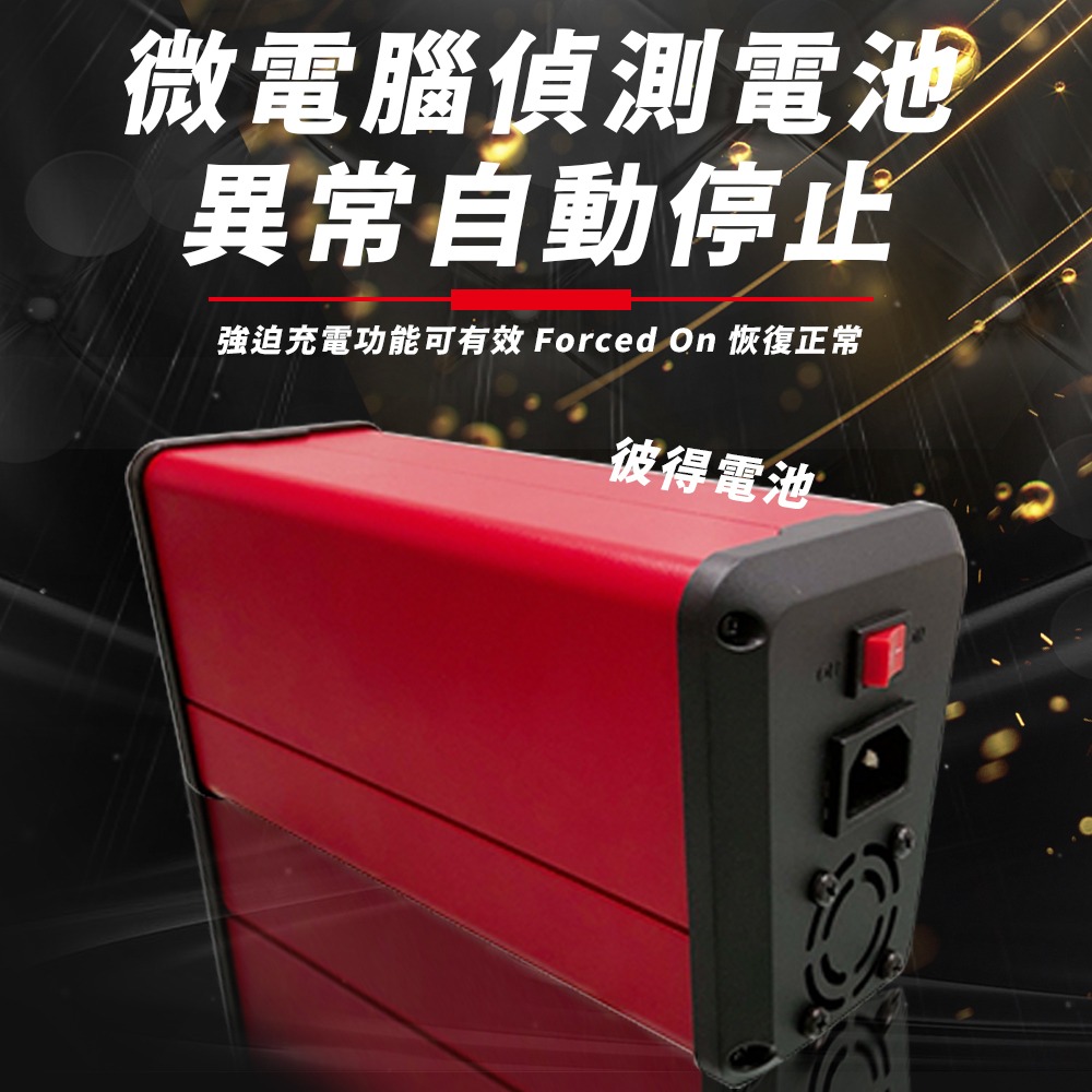 麻新電子 LFP-4806 48V 6A電池充電器 鋰三元 台灣製造 一年保固-細節圖5