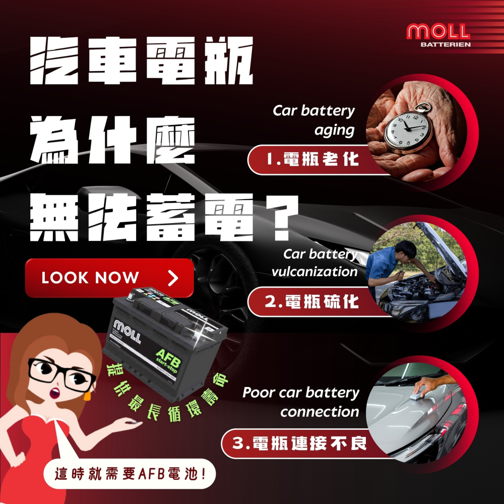 MOLL 86076 Start-Stop AFB電瓶 高性能 12V 76AH 760CCA 免加水汽車電池-細節圖8
