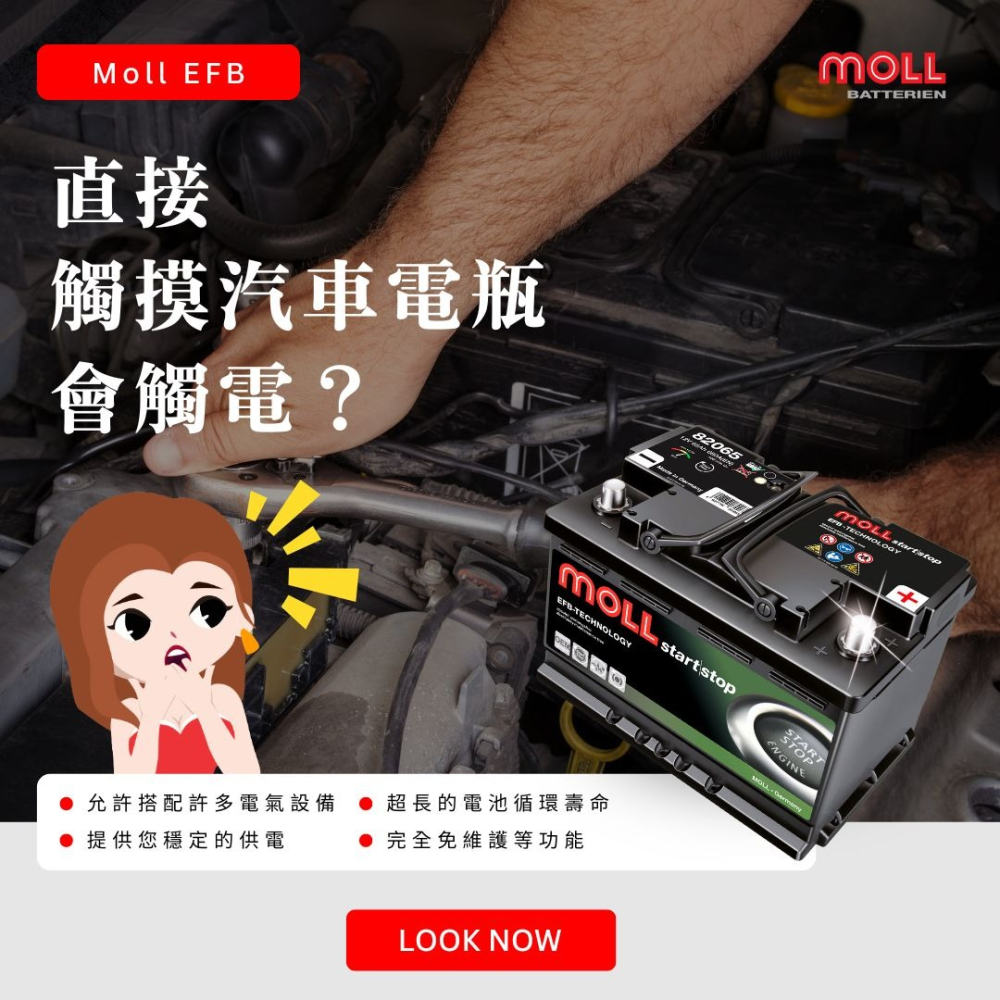 MOLL 82060 Start-Stop EFB電瓶 高性能 12V 60AH 640CCA 免加水汽車電池 德國製-細節圖9