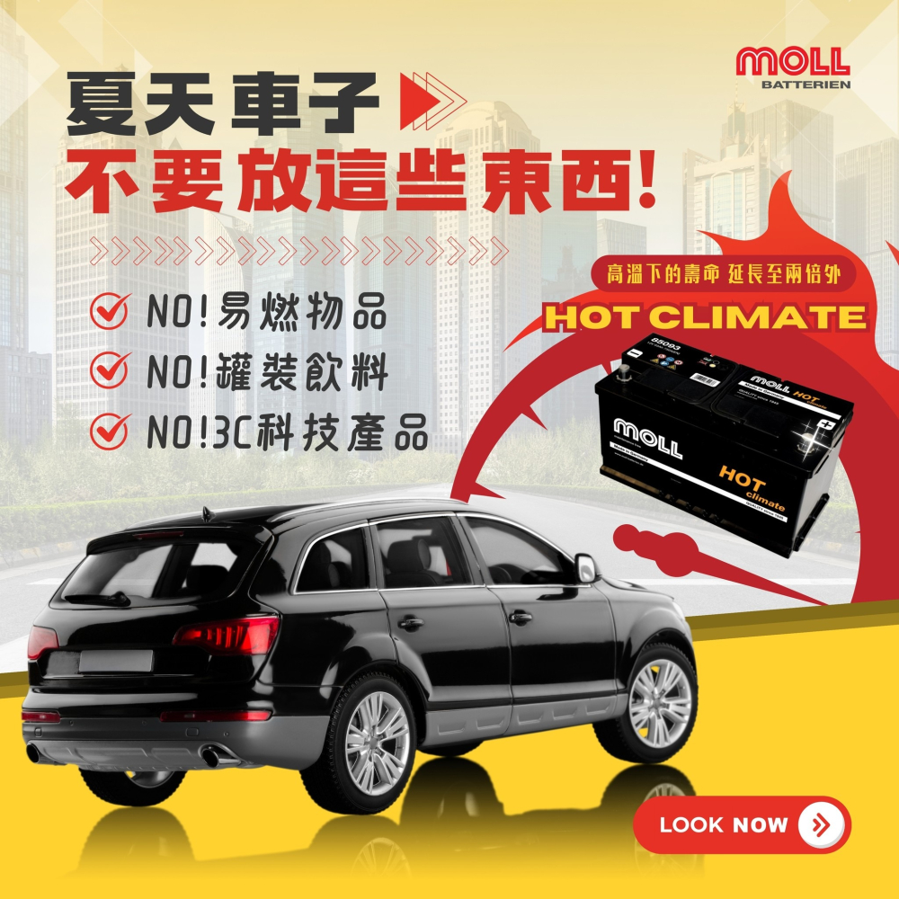 MOLL 85063 HOT Climate電瓶 高性能 12V 63AH 540CCA 免加水汽車電池 德國製-細節圖6