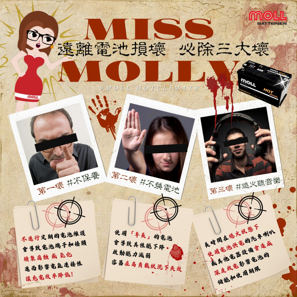 MOLL 85103 HOT Climate電瓶 高性能 12V 103AH 830CCA 免加水汽車電池 德國製-細節圖9