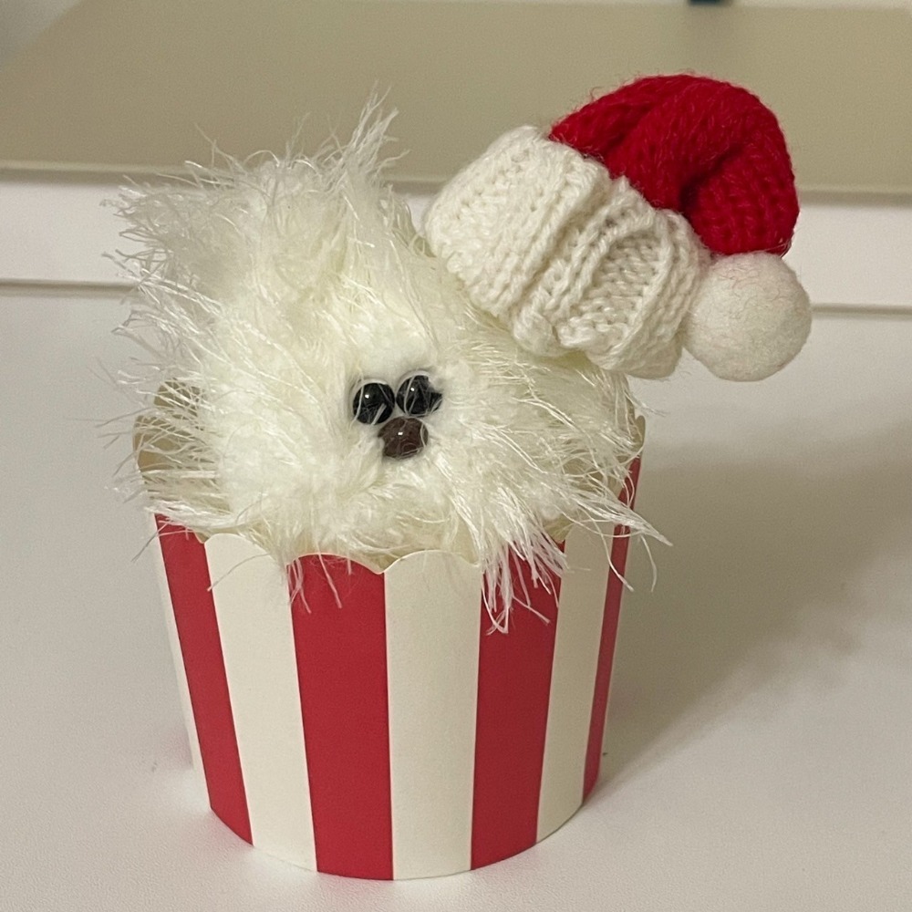 【𝐊𝐢𝐲𝐨𝐧𝐢𝐮扭來扭去︎】毛帽 - 配件加購區-規格圖6