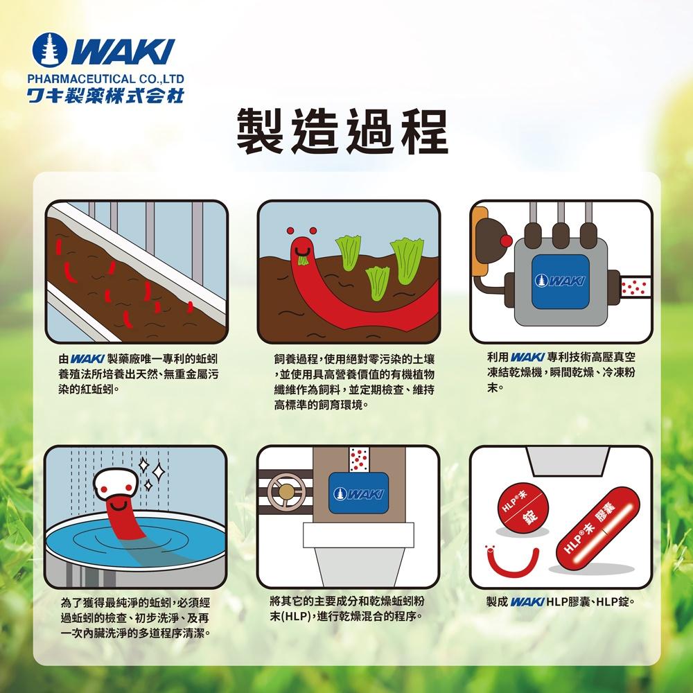 日本WAKI百年藥廠 第四代紅蚯蚓酵素 3入優惠組 隆菩順®Lumbricus RN 蚓激酶（HLP）-細節圖3