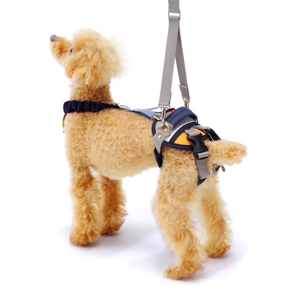現貨｜日本 LaLaWalk 小型犬後肢輔助帶｜老犬復健支撐帶｜行走無力・癱瘓輔助｜散步提拉帶-細節圖2