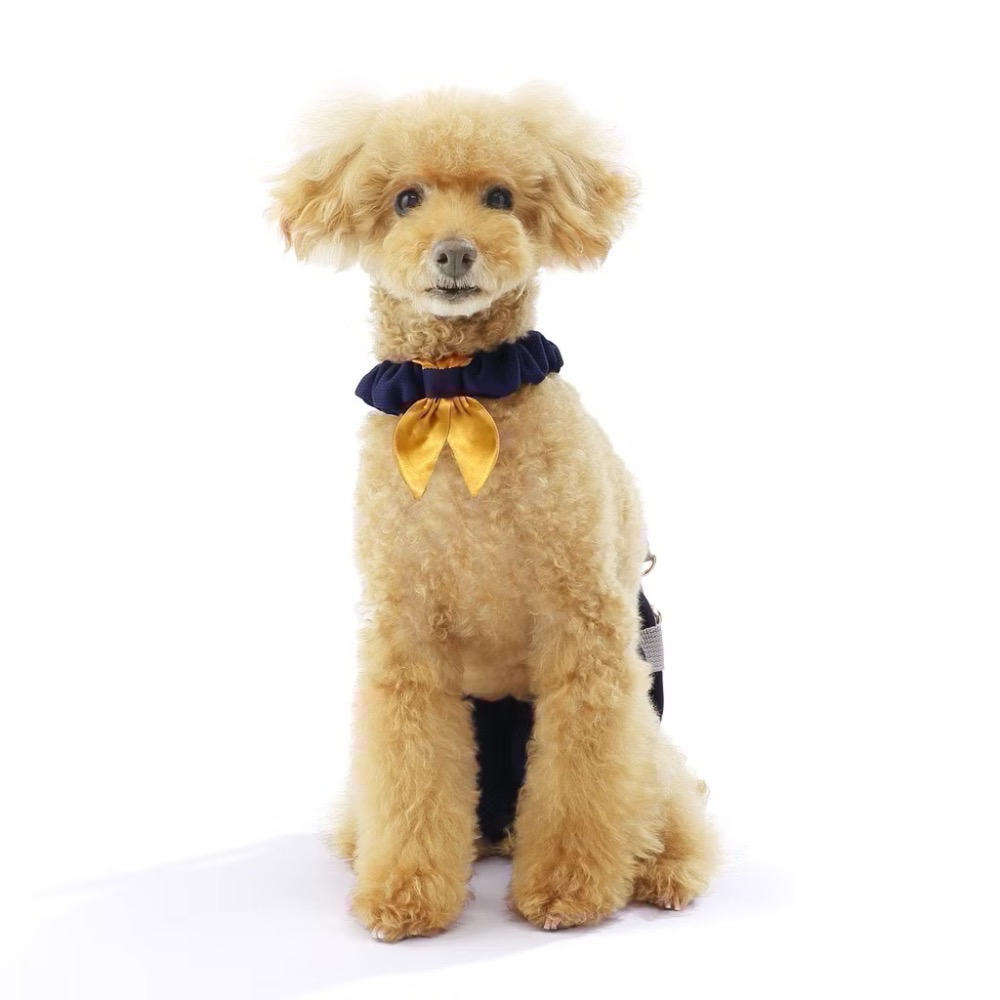 現貨｜日本 LaLaWalk 小型犬後肢輔助帶｜老犬復健支撐帶｜行走無力・癱瘓輔助｜散步提拉帶-細節圖6